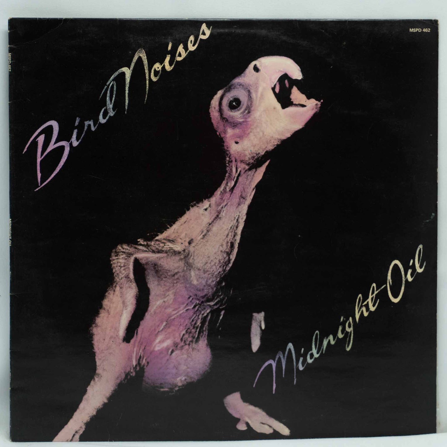 Midnight Oil ‎– Bird Noises
