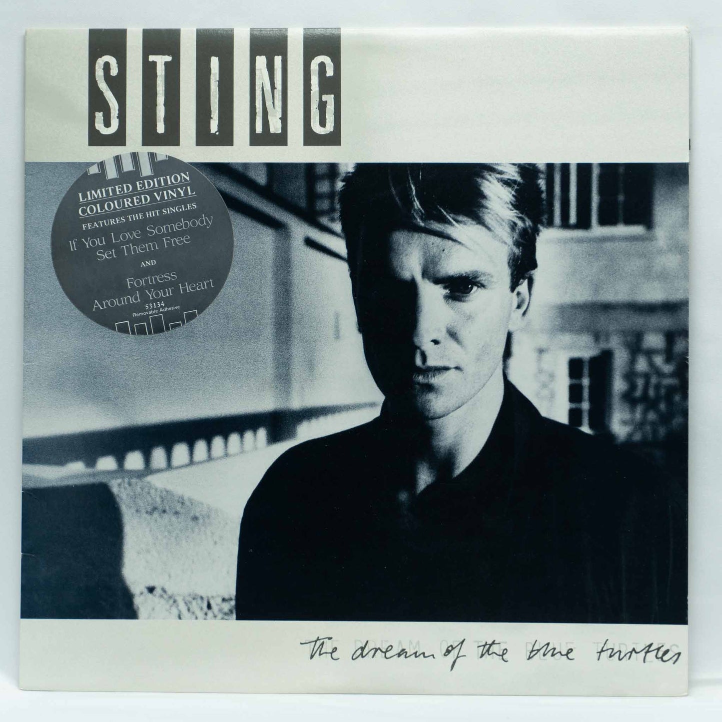 Sting ‎– The Dream Of The Blue Turtles